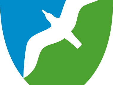 Skjold